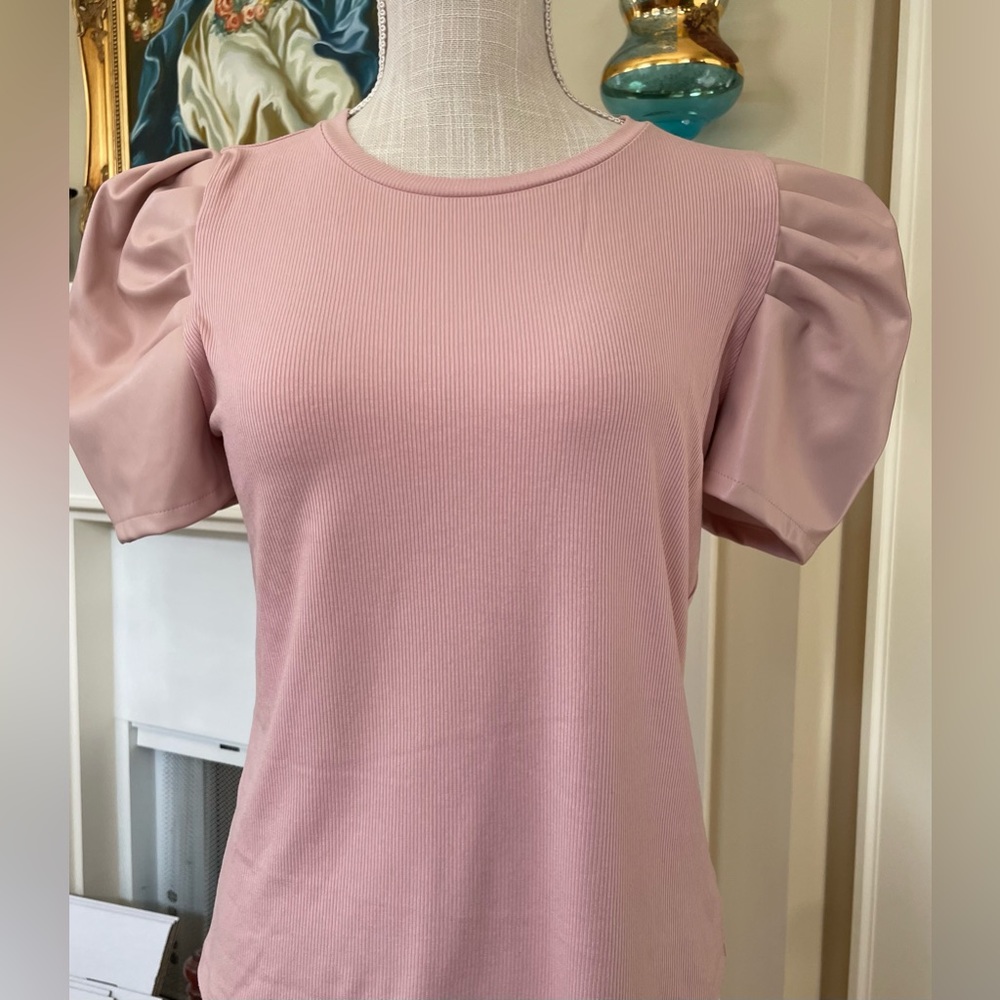 NWT Puff sleeved faux leather sleeve top. Size Small. Blush Pink.